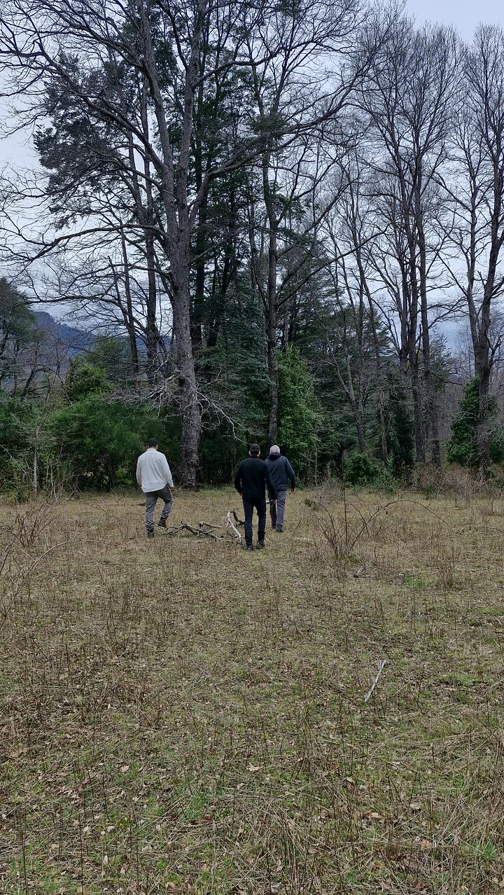 Recorrido en terreno con Land Advisors