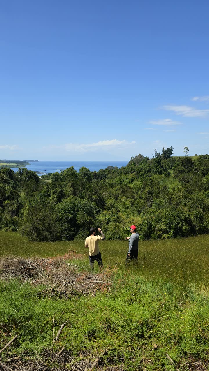 Asesoría en terreno con vista panorámica