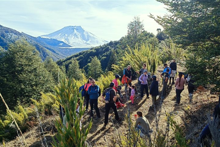Exploración en terreno con volcán al fondo